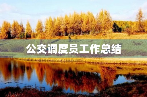 公交调度员工作总结