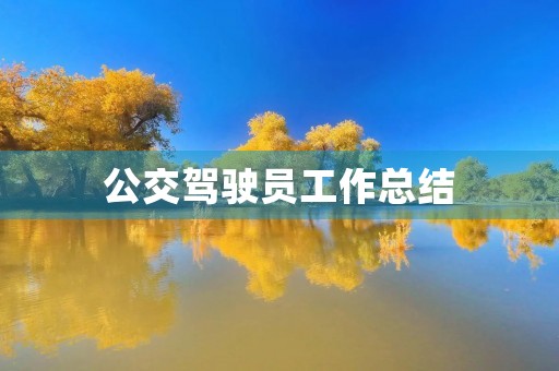 公交驾驶员工作总结
