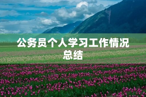 公务员个人学习工作情况总结