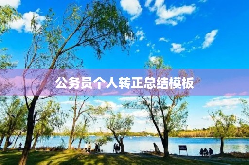 公务员个人转正总结模板(精选7篇)