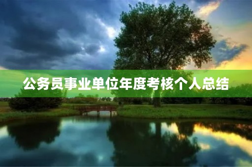 公务员事业单位年度考核个人总结