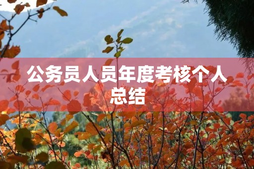 公务员人员年度考核个人总结