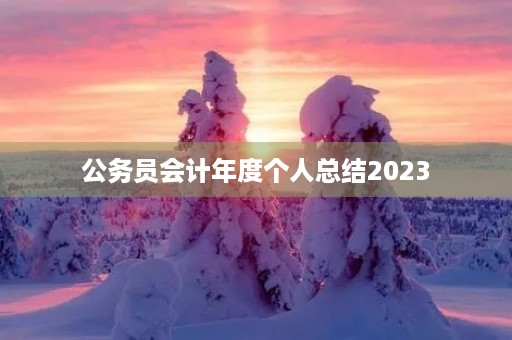 公务员会计年度个人总结2023