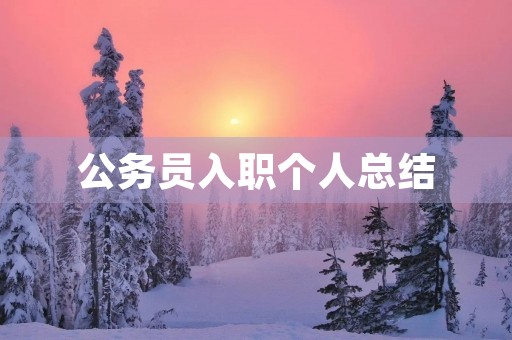 公务员入职个人总结