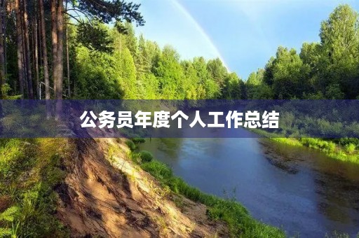 公务员年度个人工作总结