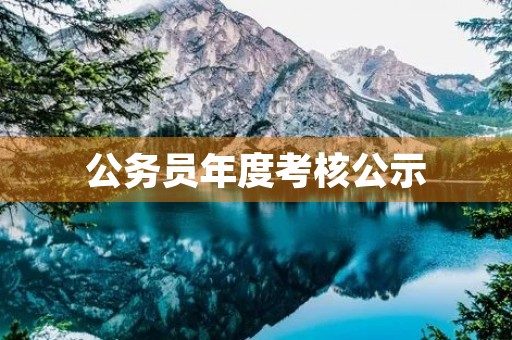 公务员年度考核公示