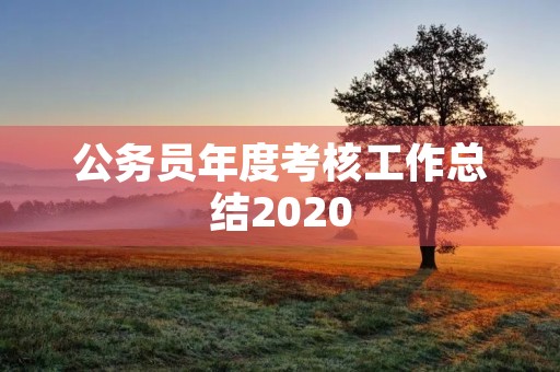 公务员年度考核工作总结2020 公务员年度考核工作总结2020