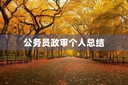 公务员政审个人总结