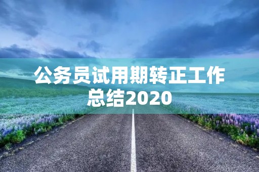 公务员试用期转正工作总结2020