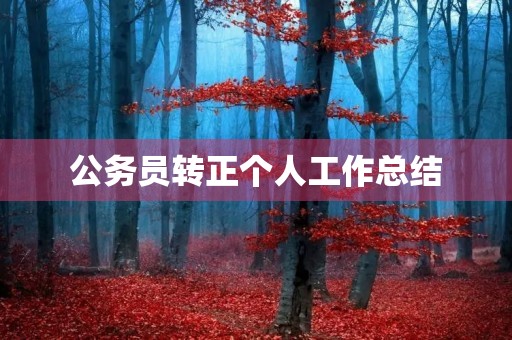 公务员转正个人工作总结