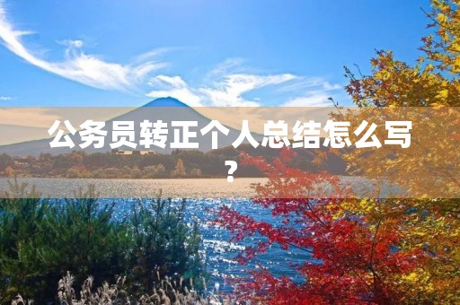 公务员转正个人总结怎么写?