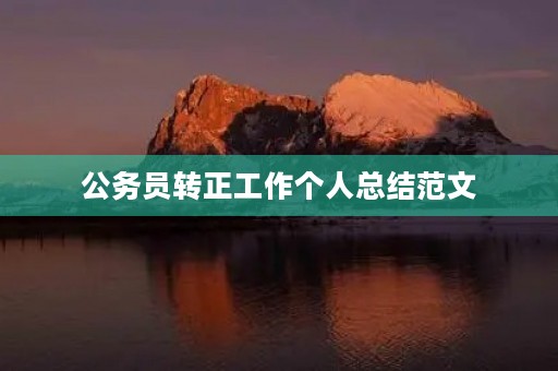 公务员转正工作个人总结范文