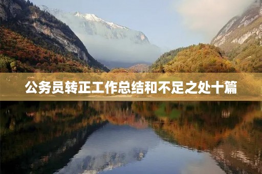 公务员转正工作总结和不足之处十篇