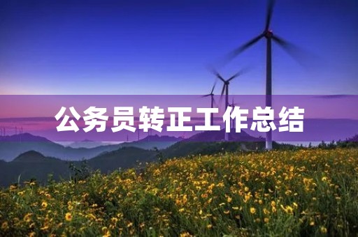 公务员转正工作总结