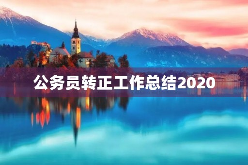 公务员转正工作总结2020