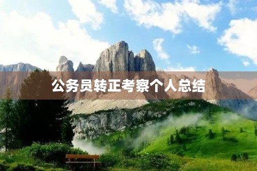 公务员转正考察个人总结