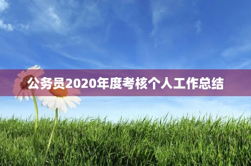 公务员2020年度考核个人工作总结 公务员2020年度考核个人工作总结