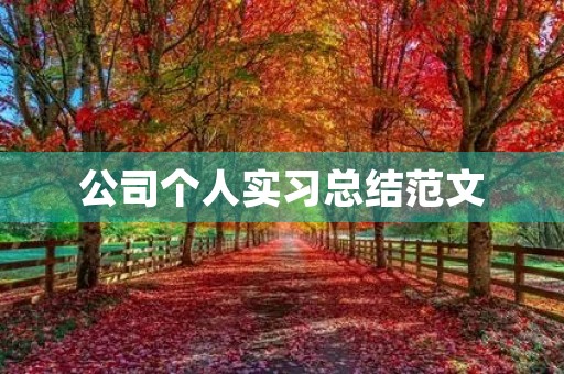 公司个人实习总结范文 公司个人实习总结范文
