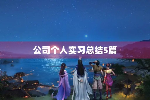 公司个人实习总结5篇