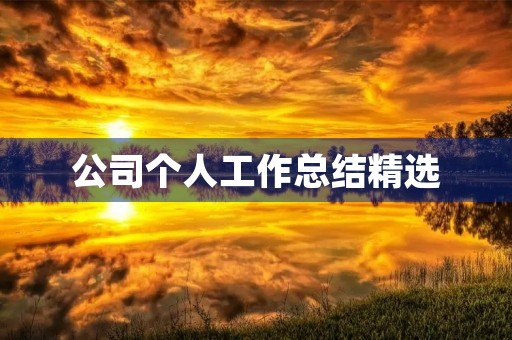 公司个人工作总结精选