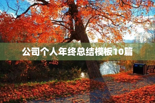 公司个人年终总结模板10篇