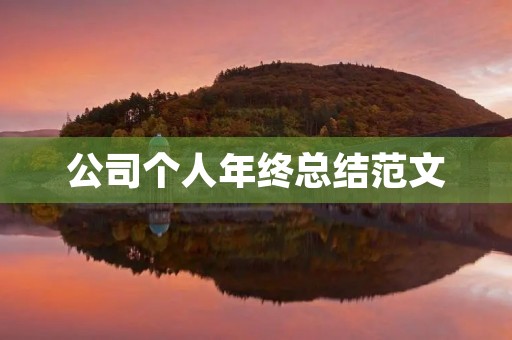 公司个人年终总结范文