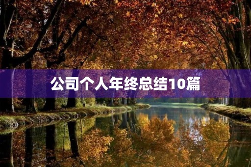 公司个人年终总结10篇