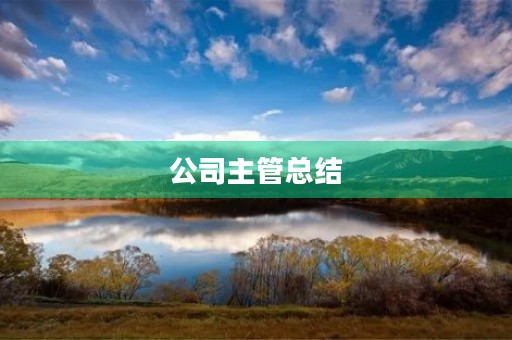 公司主管总结