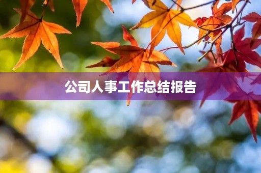 公司人事工作总结报告