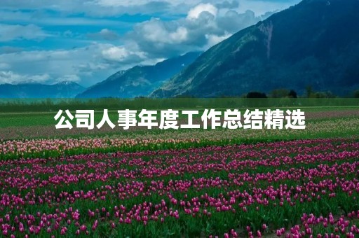 公司人事年度工作总结精选
