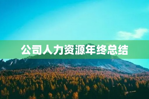 公司人力资源年终总结