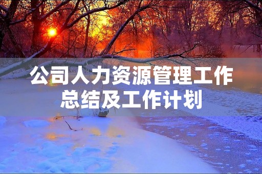 公司人力资源管理工作总结及工作计划