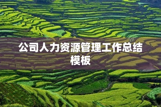 公司人力资源管理工作总结模板