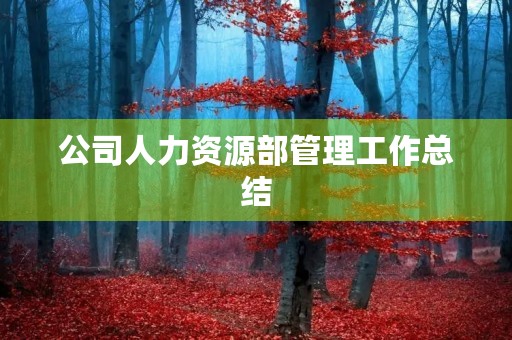 公司人力资源部管理工作总结