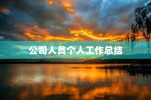 公司人员个人工作总结(大全)