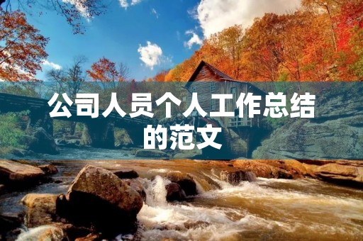 公司人员个人工作总结的范文