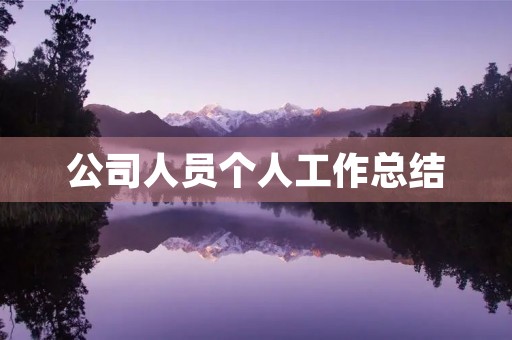 公司人员个人工作总结