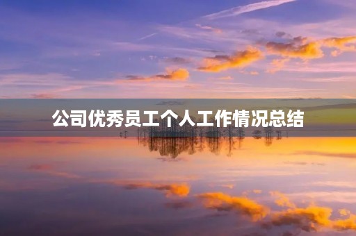 公司优秀员工个人工作情况总结
