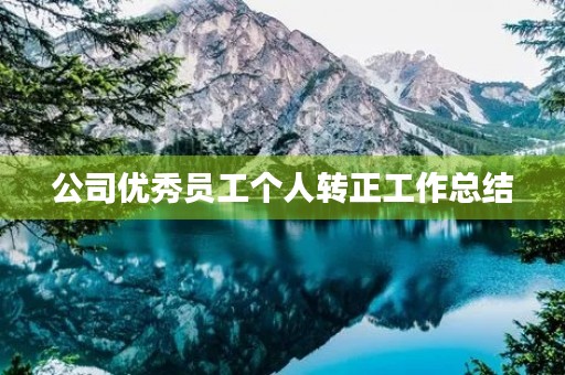 公司优秀员工个人转正工作总结