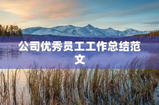 公司优秀员工工作总结范文 公司优秀员工工作总结范文