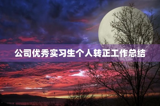 公司优秀实习生个人转正工作总结