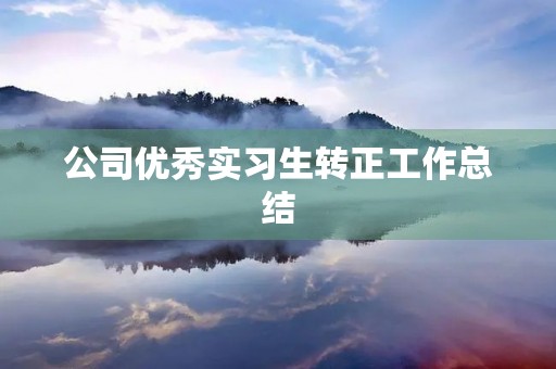 公司优秀实习生转正工作总结
