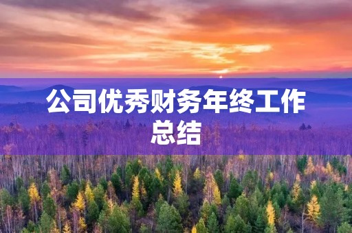 公司优秀财务年终工作总结
