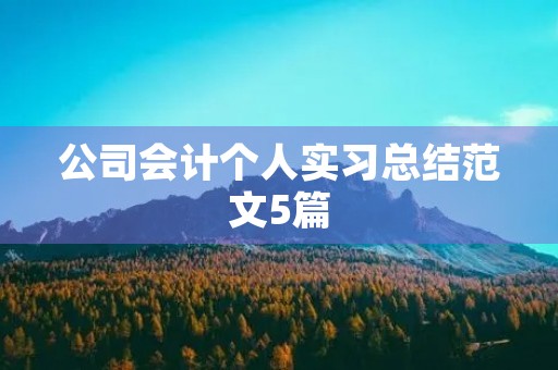 公司会计个人实习总结范文5篇 公司会计个人实习总结范文5篇