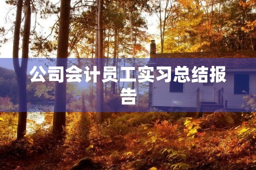 公司会计员工实习总结报告 公司会计员工实习总结报告