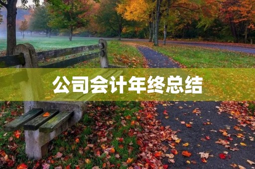 公司会计年终总结