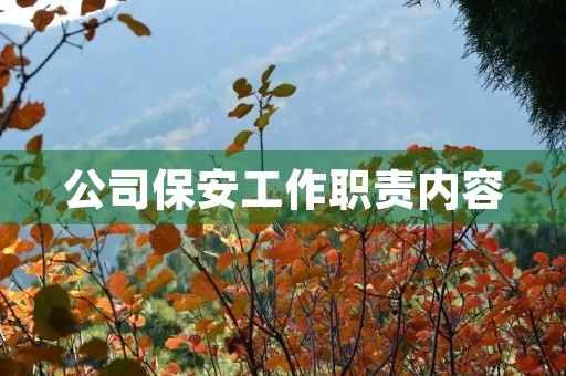 公司保安工作职责内容