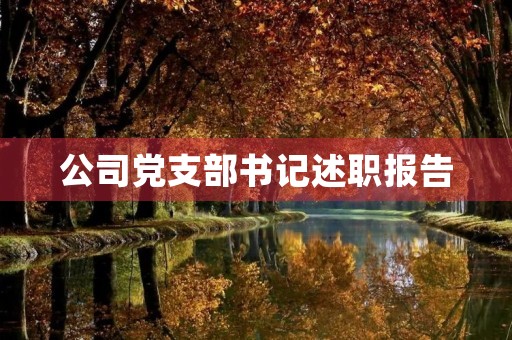 公司党支部书记述职报告