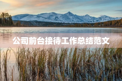 公司前台接待工作总结范文