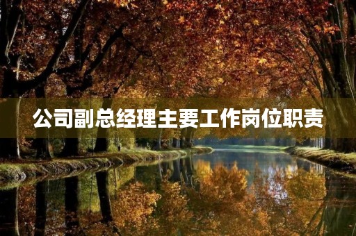 公司副总经理主要工作岗位职责